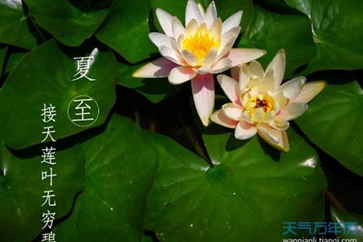 南宁安吉属于什么区