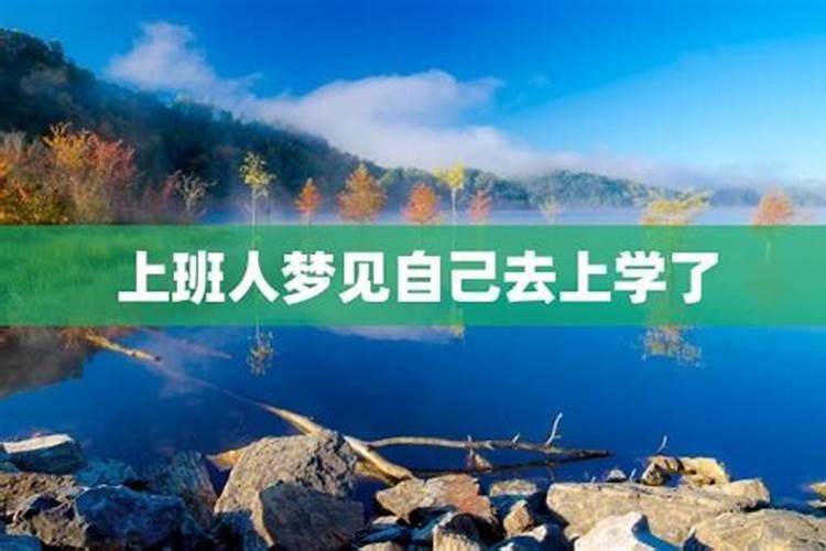 梦见在学校工作了的预兆