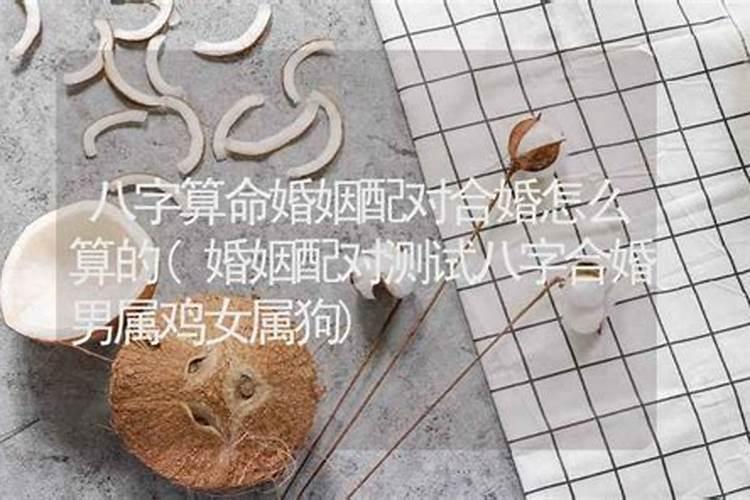 怎么合八字,怎么合婚？