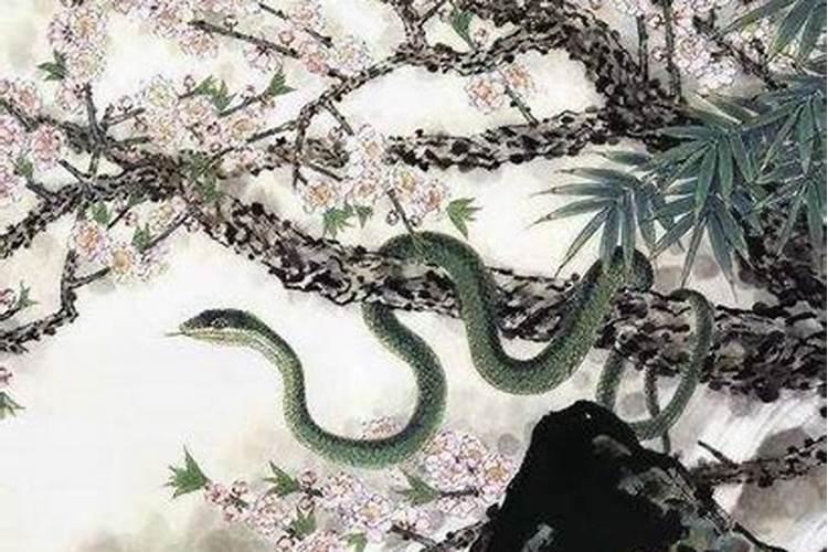 2025年属蛇最佳的搬家一览表