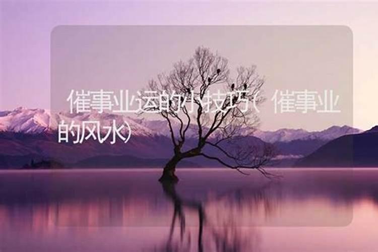 哪些风水能催旺事业运 如何催旺事业运