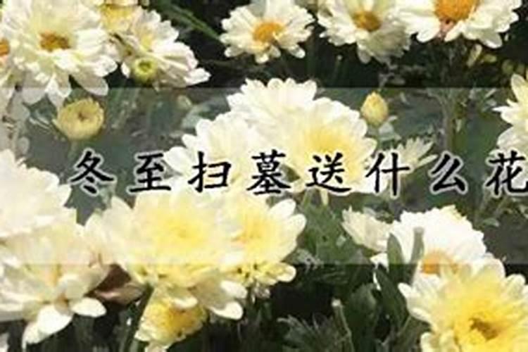 1977的含义是什么呢？