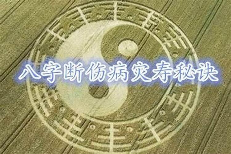 八字预测‘地解’星是怎样解释