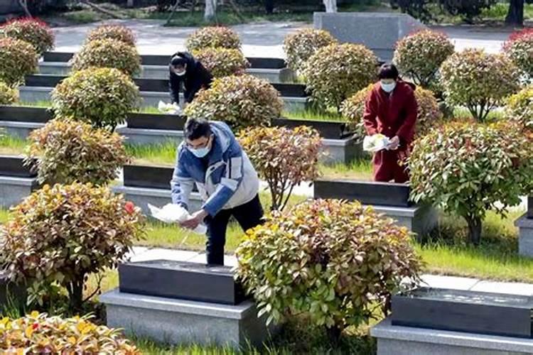 知道八字怎么知道命好不好,怎么知道自己生辰八字好不好