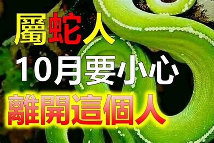 生肖蛇1953年2025年运势如何 生肖蛇1953年2025年全年运势