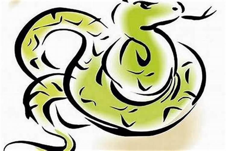虎年犯太岁生肖是什么
