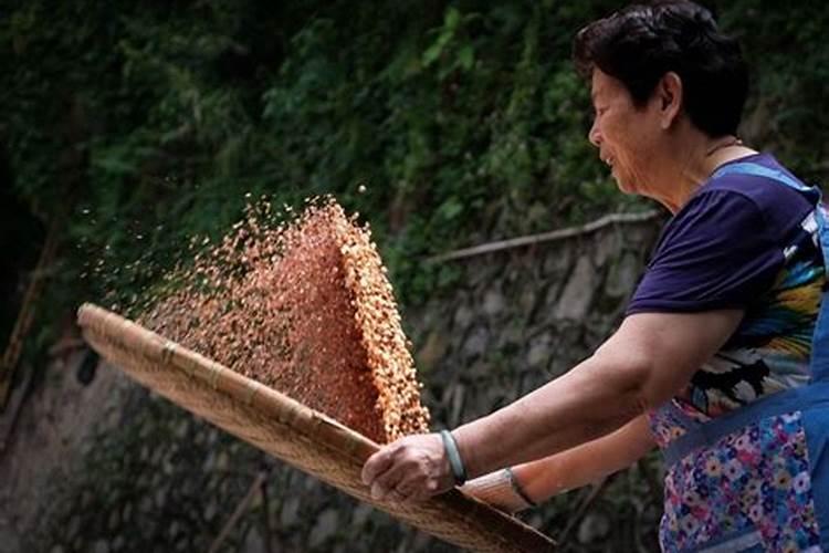 算命不知道出生时辰算出来的准吗,算命不知道时辰能算吗