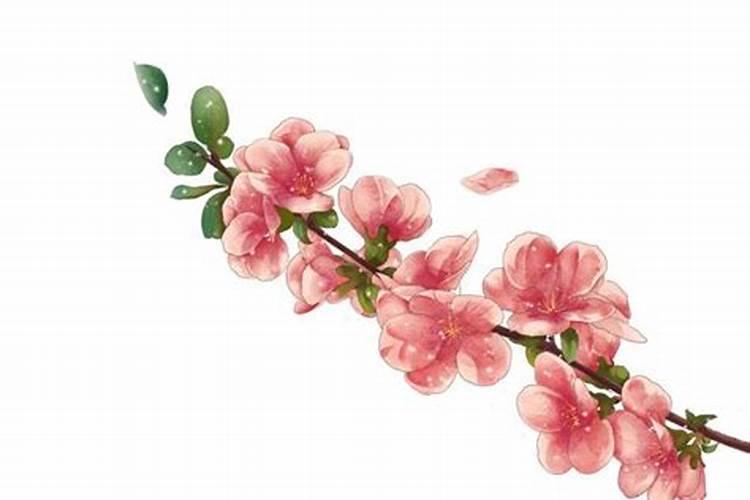 北方腊八粥里放什么食材