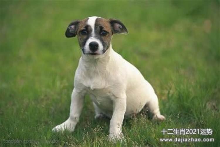 北方冬至吃什么食物北方冬至吃什么食物推荐