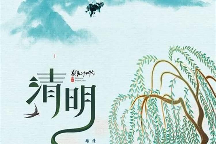 适合种在坟上的花草