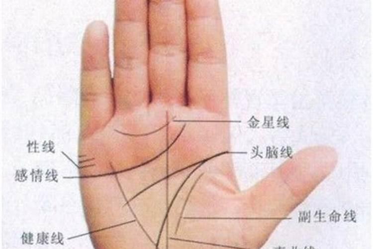 属狗的2025年犯太岁吗
