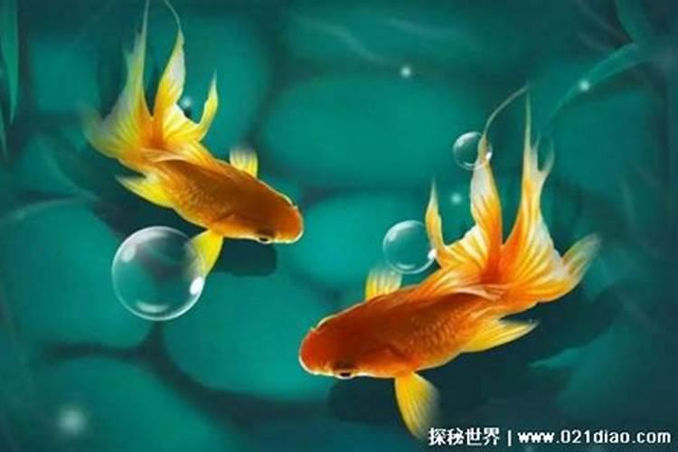 07年猪在2025蛇年升学的运气