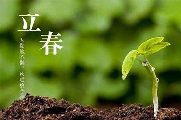 立春几九的口诀