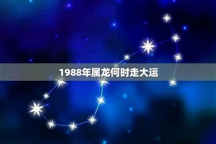 五一有晚会吗现在