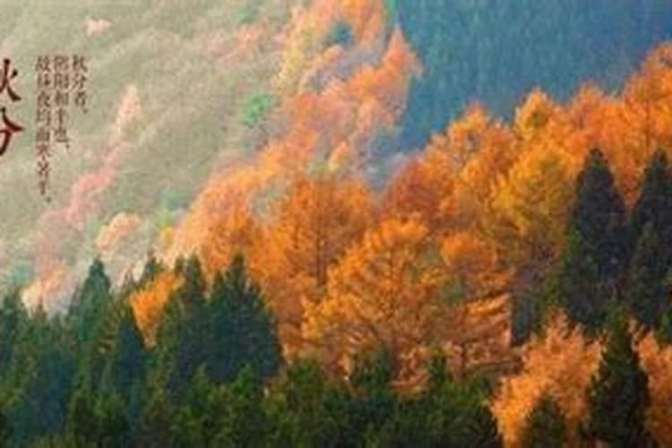 青岛财神节是哪一天