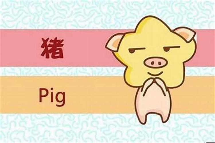 1995年属猪姻缘在哪年