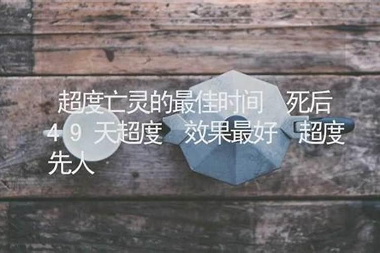2025年生肖猪的全年运势如何