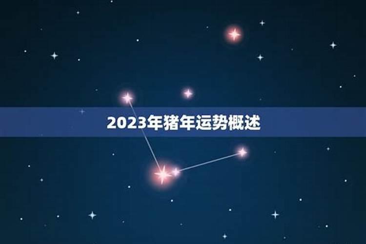 1971年猪在2025年的水瓶座女运程
