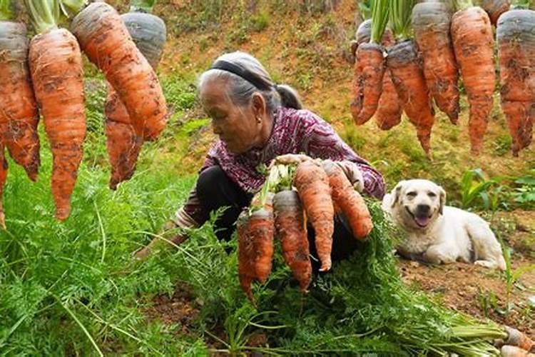 水命和火命在一起好吗