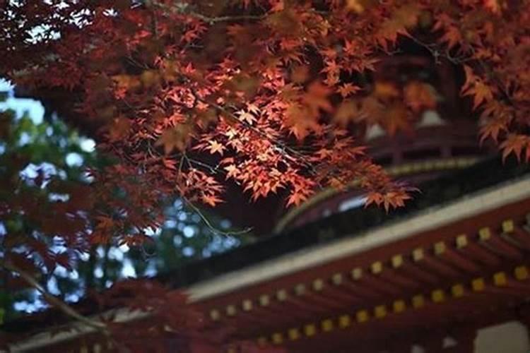 泰国破太岁需要的生日是阳历还是？