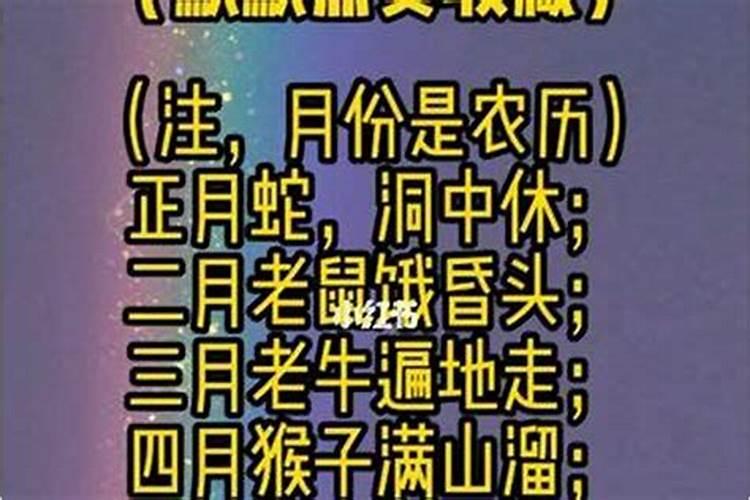 2024年犯太岁最严重的是几月
