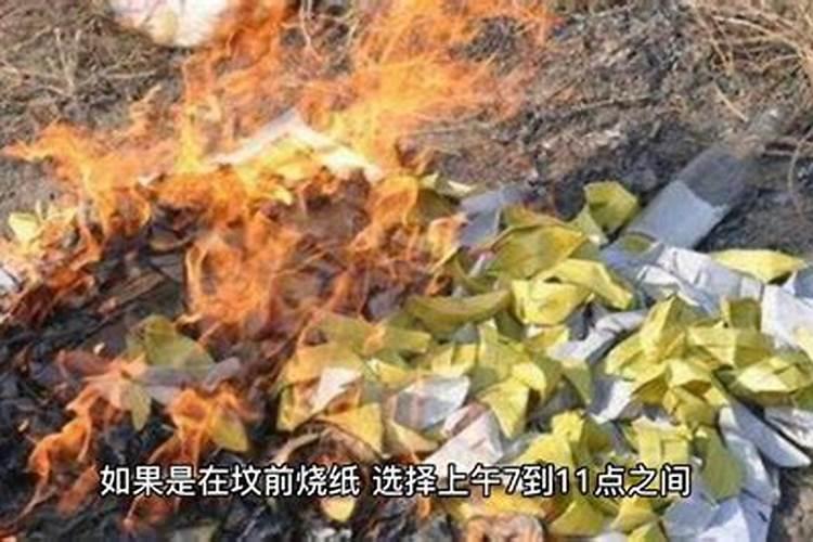 2025属兔人每月运势及运程如何