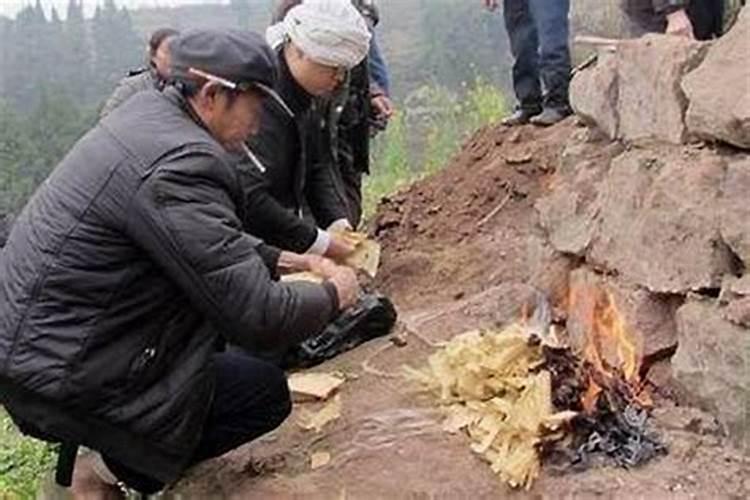 属蛇人养哪些花旺财又转运 属蛇人养什么花旺财又转运