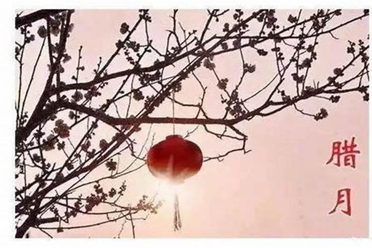 梦见哥哥死了我哭的很伤心