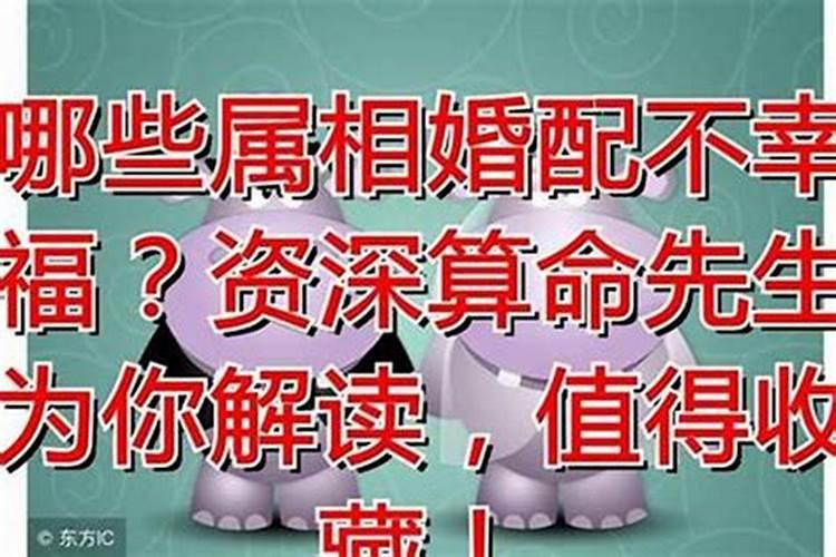 婚配该不该信属相