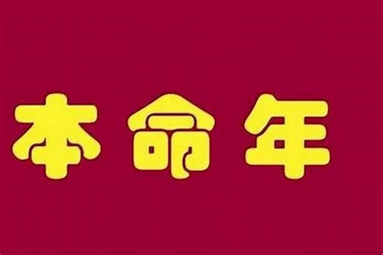 属猪的2025年犯太岁吗