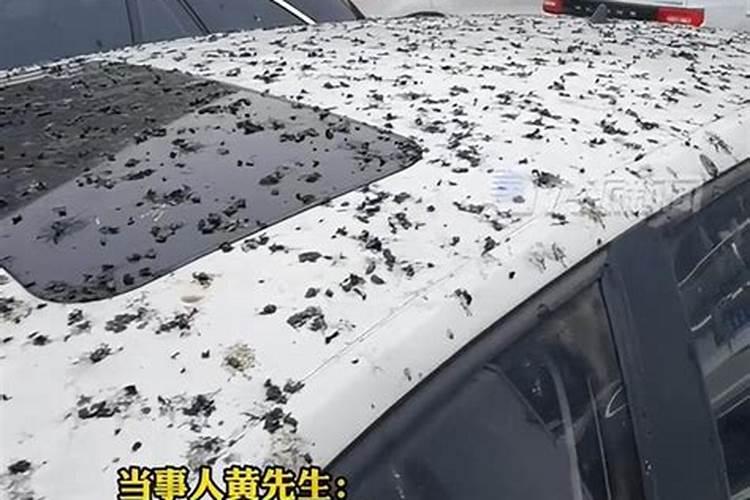 梦见同事离职