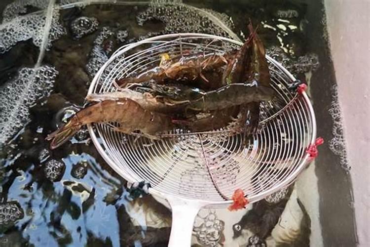 犯太岁到底是什么意思？