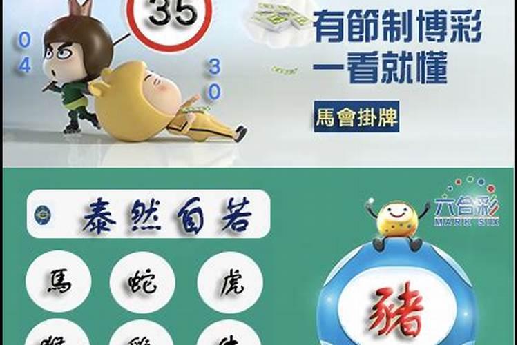2024年什么生肖不能装修房子 2024年什么生肖不适合搬新居