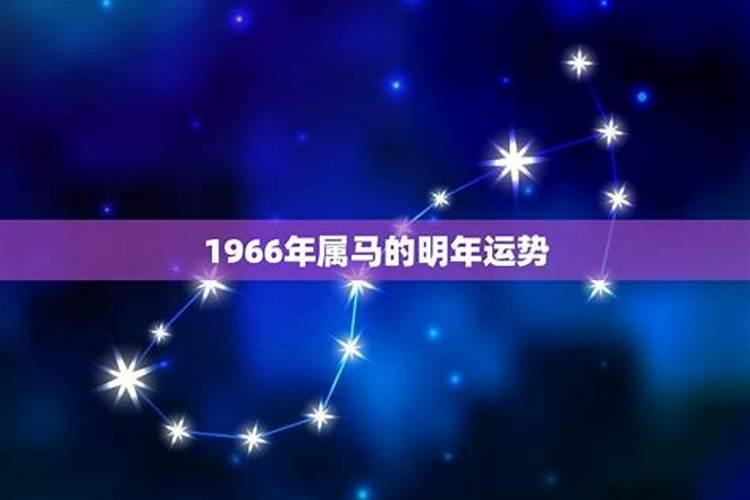 2025年66年属马的运势