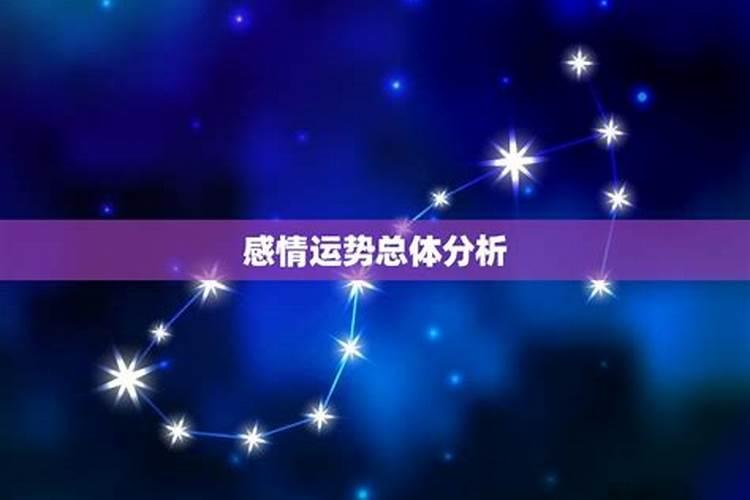 91年的羊什么时候是本命年,属羊下一个本命年