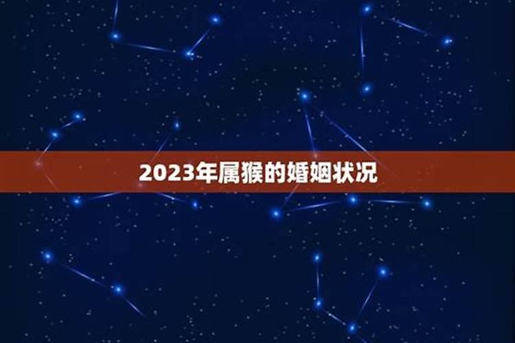 五月猴的婚姻怎么样 属猴的人和什么属相最配