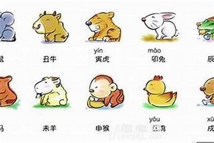 生辰八字的命中财库多大怎么看