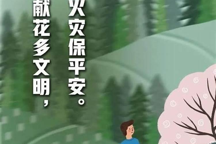 泉州严禁开展野外祭扫活动,为什么要这么做？