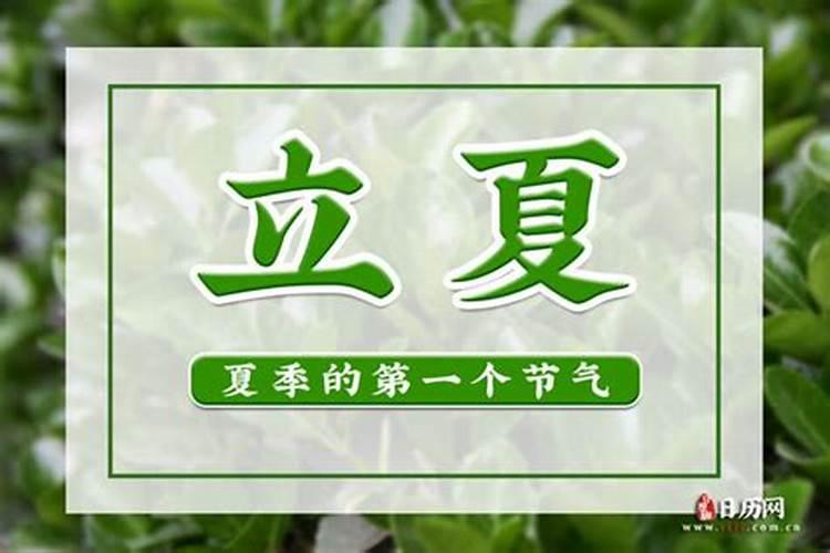女人梦见一只大白鹅是什么预示