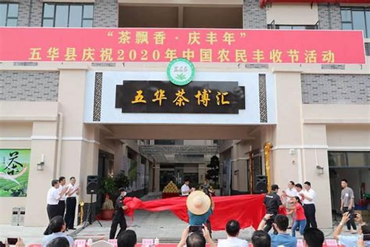 观珠镇的城镇建设