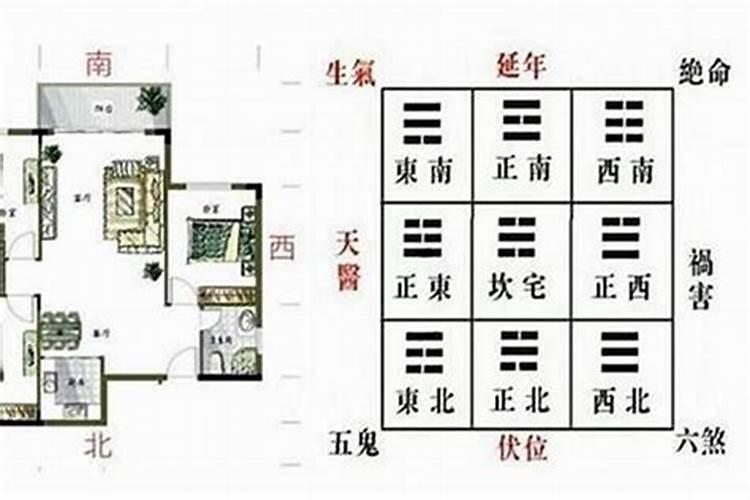 催旺事业运增运 加强青龙方位的布局？