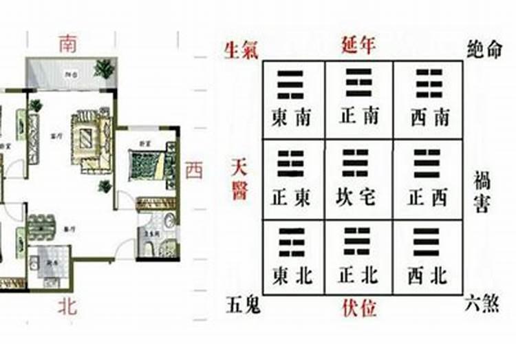 青龙方位禁忌放什么青龙位置放什么旺财