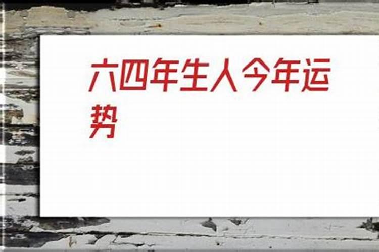 1954年属马的晚年命运2024 54年出生马在下半年财运