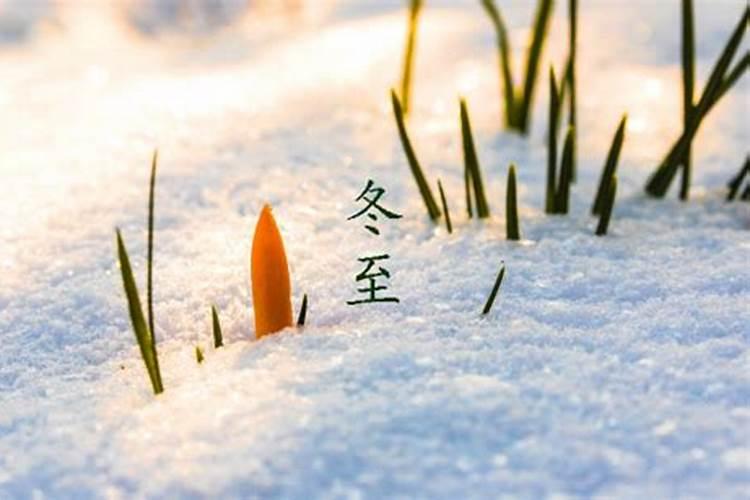 丁火—大佬产出量惊人