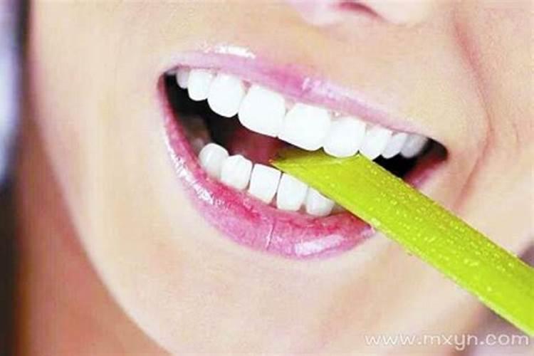 真童子的人生最后结局