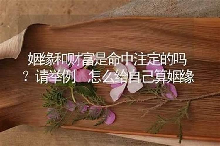 72年属鼠男在2024年的下半年运势