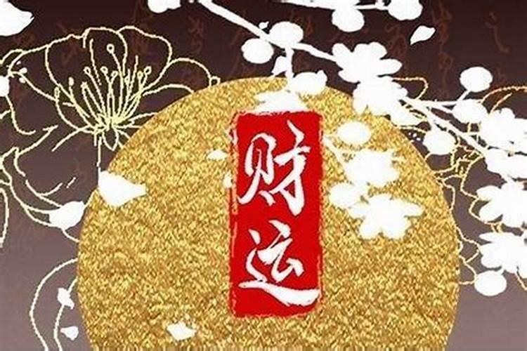 属兔人家里摆什么旺财属兔本命年家里摆什么