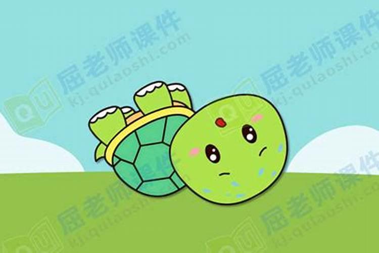 梦见自己抱着大乌龟的预兆