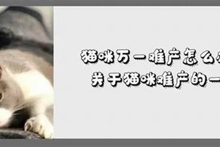 算童子命 第二类是什么意思？