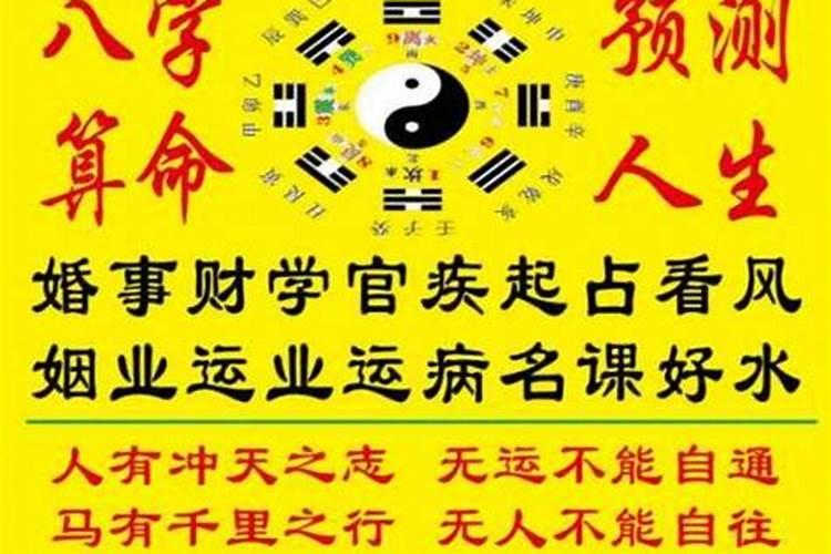 属猪在2025蛇年的运气